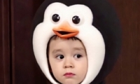 رЦ˵ ɰȫ