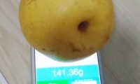 appƻֻط̳