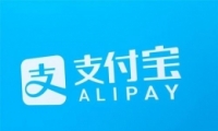 ֧app念뷽̳
