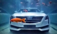 ˮĿˡʲô ˮĿˡʲô˼