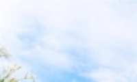 СΨ羰ֽͼˮӡ С¼Լ羰ֻֽ