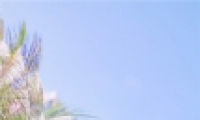 С·羰ֻֽŮͼƬ ŮСֻֽ