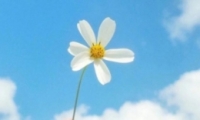 ŮǩŷΨ˸ ʫ˸йŷǩζʮ