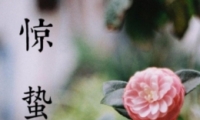 ףһ仰 2020ݿůף