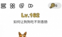 Զʦ162ͼĹ