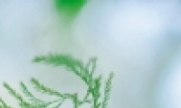 µķ羰ͼƬ廨ݴȫ Сɫ羰ͼƬȫ