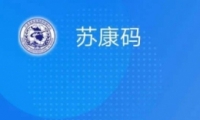 տ˽̳