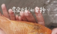 ־ĸǩ ˵QQǩ