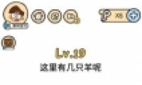 Զ19ͨع