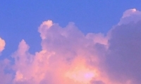 2020QQǩ ºǩѡ