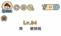 Զ34ͨع