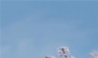 ֻֽ羰ͼ ʮΨÿķ羰ֽ