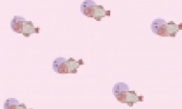 ֻֽȫɰͨŮ ɰͨСŮͼƬֻֽ