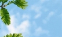 ϵֽΨ ÿķ羰ֽͼƬ⾳