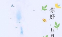ůǩ2020 ¸ůǩ