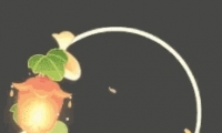 ˮҶӢ̬ͷȡ
