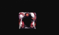 һ׽ڤͷȡ