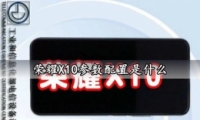 ҫX10ֻò
