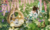 3淨