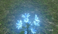 ˮׯ԰淨