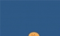 ɫϵֽԼÿ