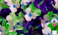 ЧƵ̳