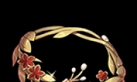 ԴŮ񡷺Ļڼһ