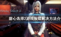 ѡ2Ϸ