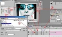 After Effects̳֮Ѹ(3)
