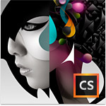 Adobe Creative Suite 6 Design Standard 简体中文版