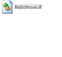 BizzExtModule.dll