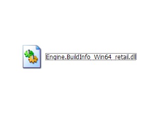 Engine.BuildInfo_Win64_retail.dll