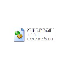 GetHostInfo.dll
