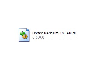 Library.Meridium.TM_AM.dll