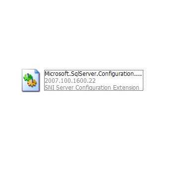 Microsoft.SqlServer.Configuration.SniServerConfigExt.dll 2007.100.1600.22