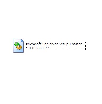 Microsoft.SqlServer.Setup.Chainer.Workflow.dll 10.0.1600.22