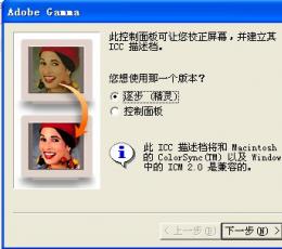 Adobe Gamm(显示器调整工具) V2012 汉化中文绿色版