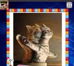 天天爱猜图 V2.3.2 安卓版