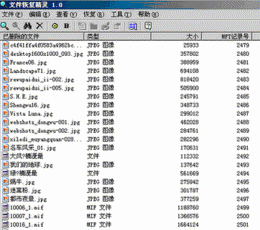 文件恢复精灵 V1.0 绿色免费版