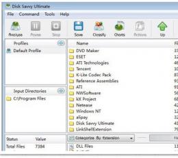 DiskSavvy Ultimate(磁盘空间占用统计分析) V5.7.16 注册版