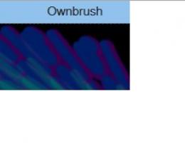 Ownbrush(自定义笔刷) V1.2 免费版