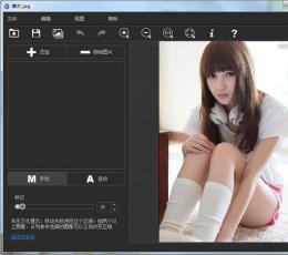 Teorex MultiView Inpaint(多视点去水印工具) V1.1 中文绿色版