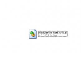 module0.RemoteAuth.dll