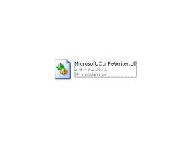 Microsoft.Cci.PeWriter.dll