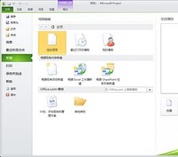 Microsoft Project 2010 中文专业版