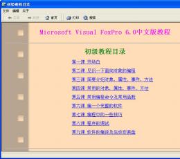 vfp6.0 Visual Foxpro 免费