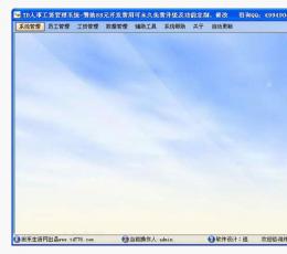 TD人事工资管理系统 V2011.2.8.0 
