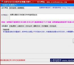 小笨鸟TXT文本软件处理魔术师 V1.1 绿色版