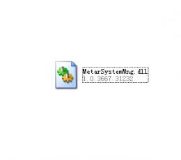 MetarSystemMng.dll