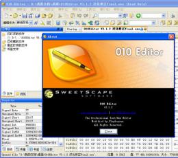 十六进制编辑器(010 Editor) V5.0.1 绿色免费版